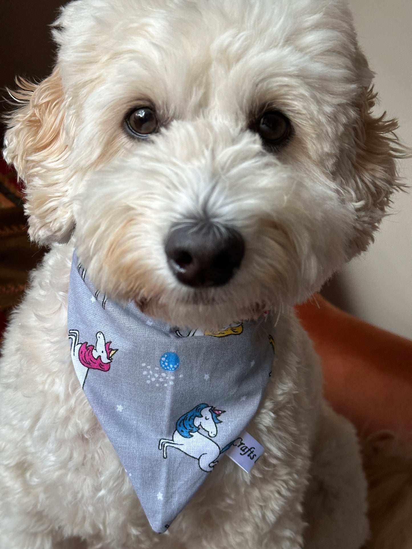 Cotton Pet Scrunchie Bandana - Unicorn Adventures