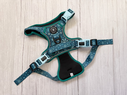 Monty - Explorer Harness