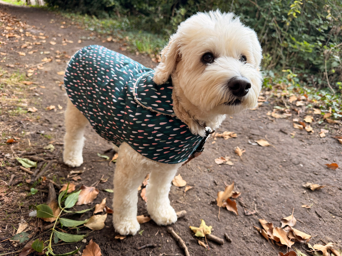 Raindrop Pet Raincoat
