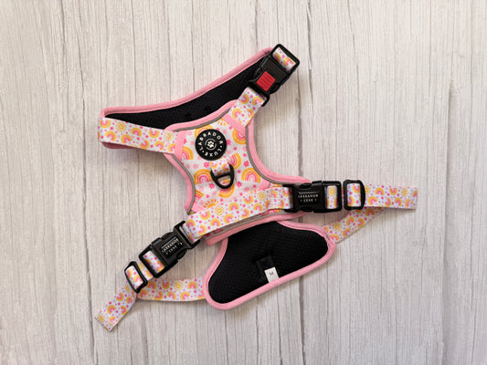 Indie - Explorer Harness