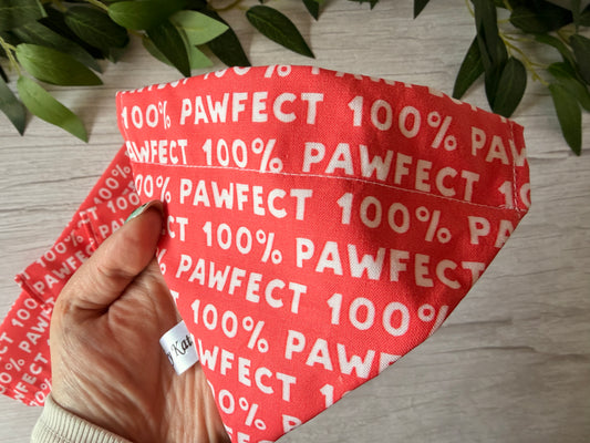 Cotton Pet Bandana with collar attachment - 100% Pawfect