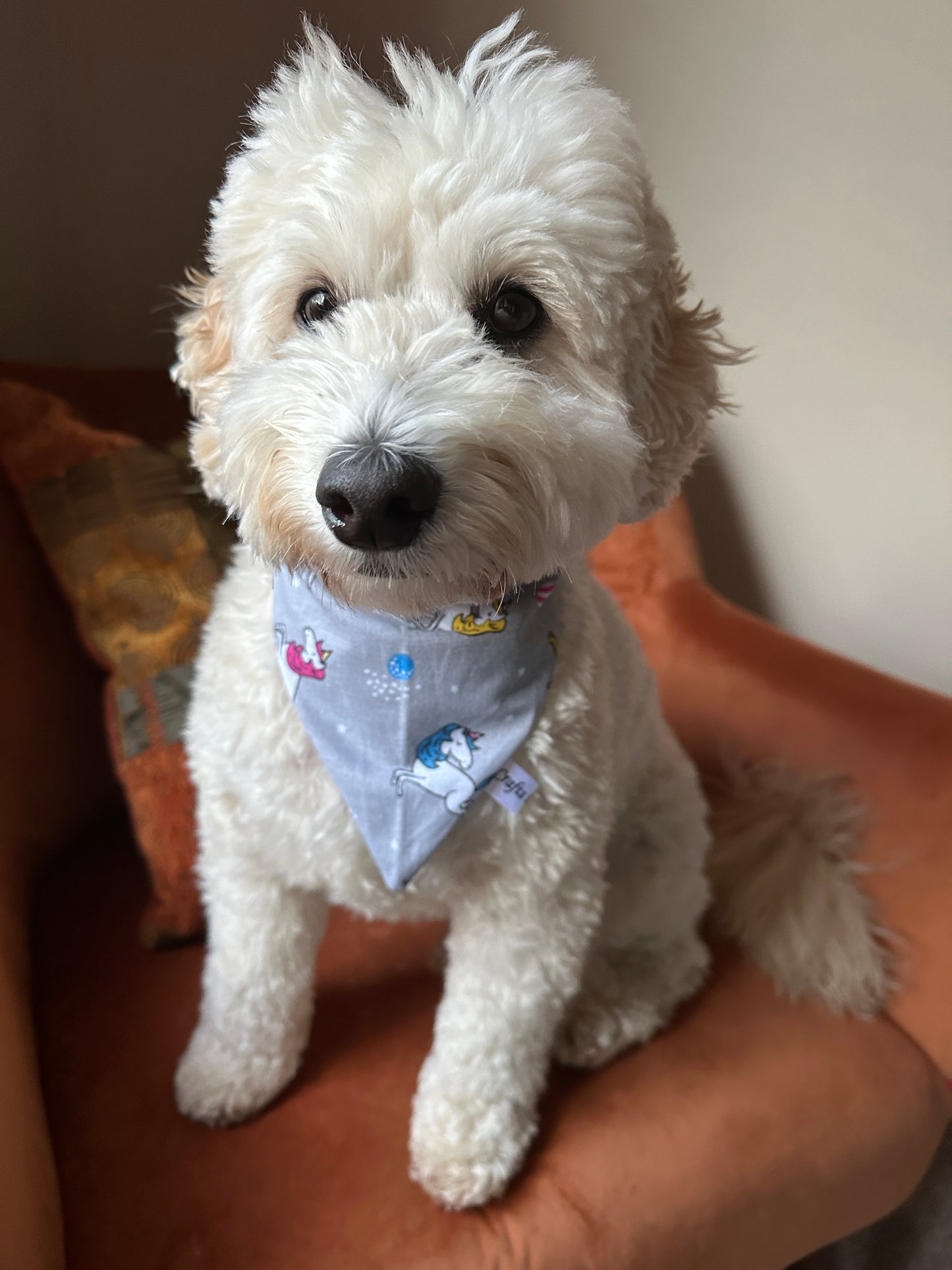 Cotton Pet Scrunchie Bandana - Unicorn Adventures