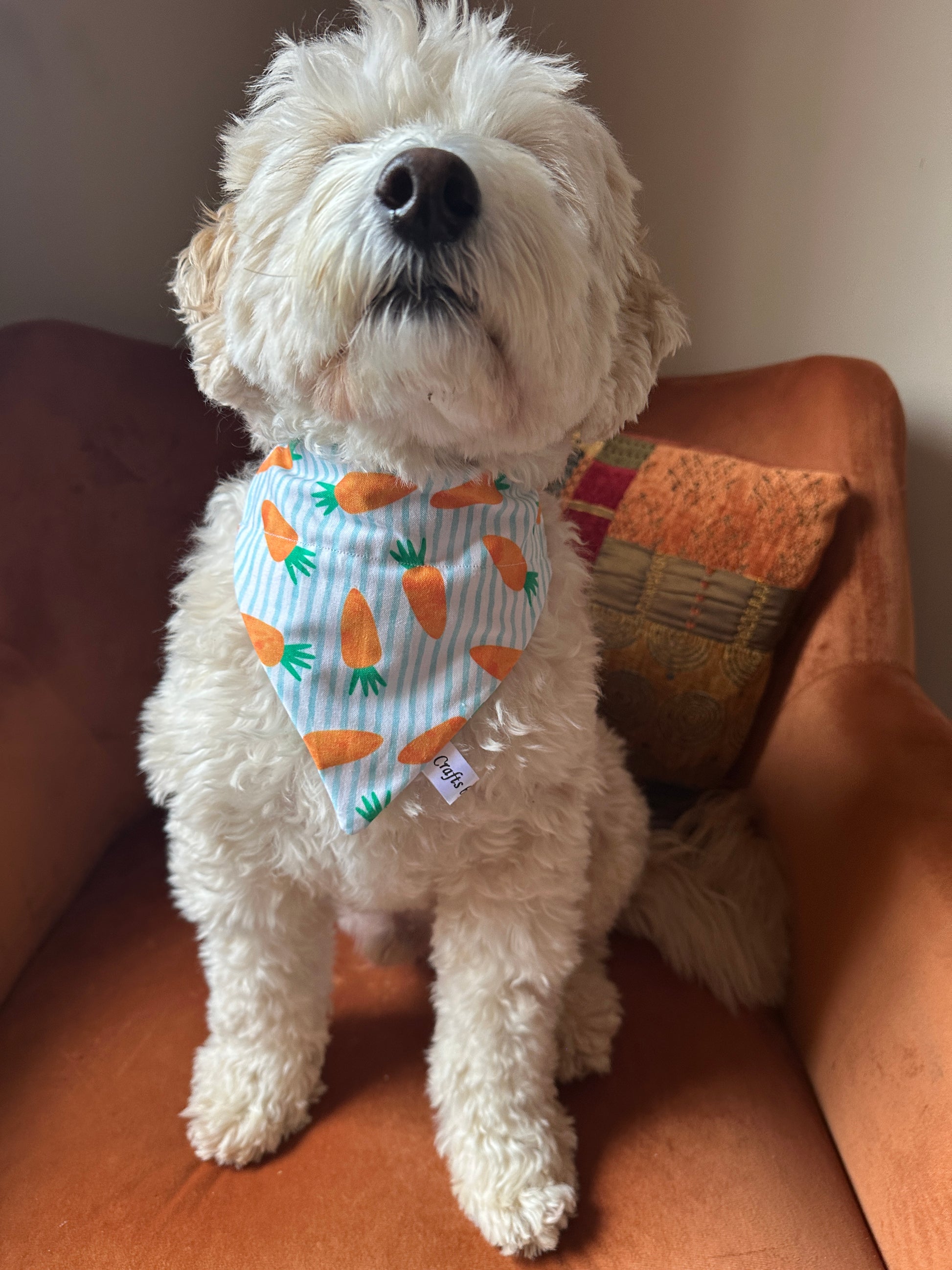 A fluffy white dog dons a Crafts by Kate's Cotton Pet Bandana with collar attachment in Striped Carrots, lounging on a plush orange chair. Eyes closed and head tilted, the dog exudes tranquility while resting against a decorative pillow.