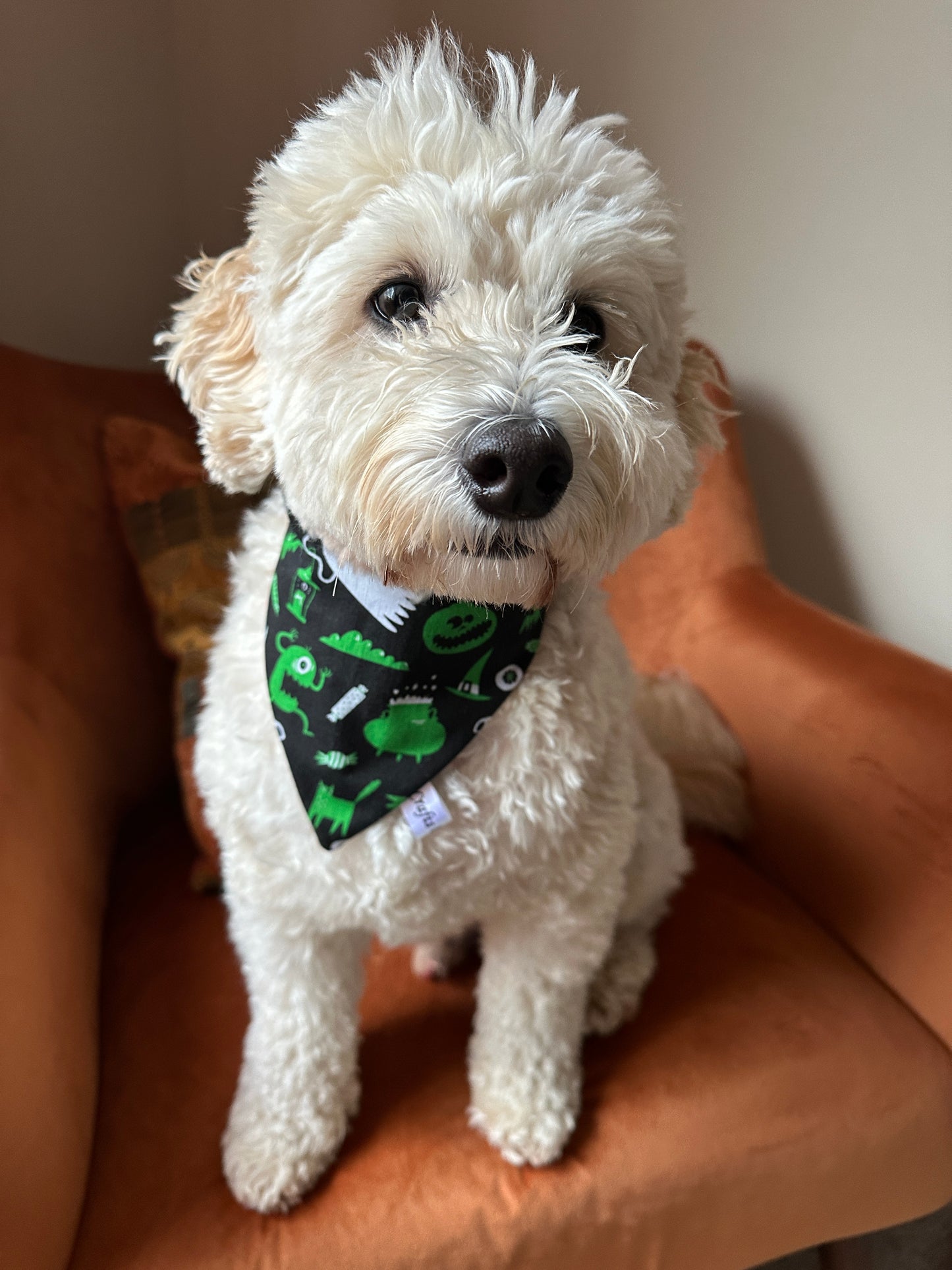 Cotton Pet Scrunchie Bandana - Green Halloween