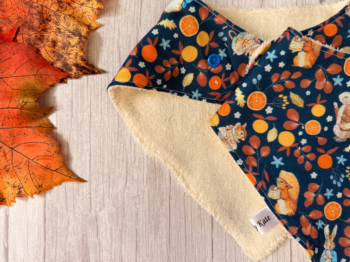 Cotton & Terry Towelling Baby Bibs - Autumn Peter Rabbit & friends