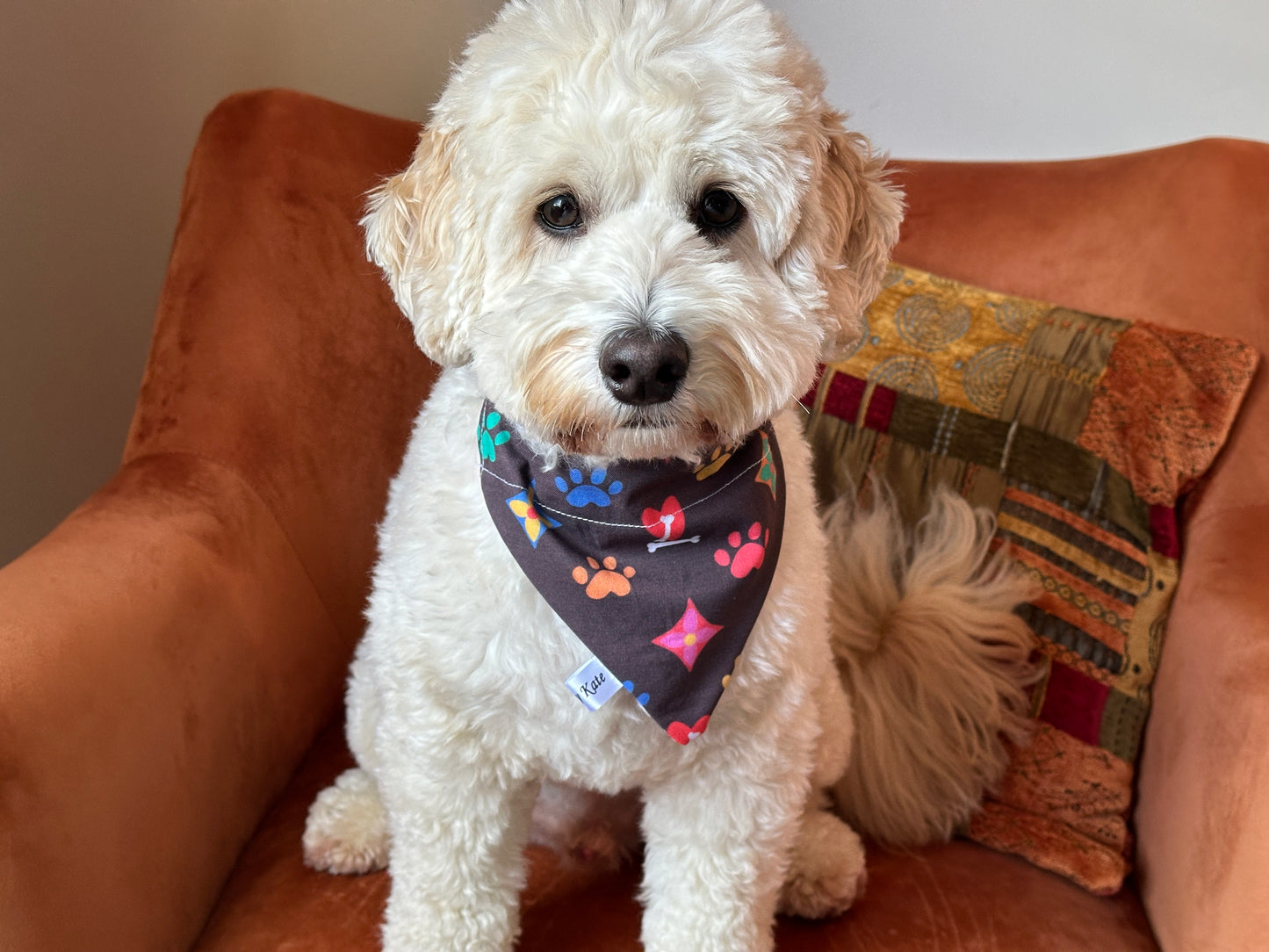 Cotton Pet Bandana with collar attachment - Louis "Paw"ton (Rainbow)