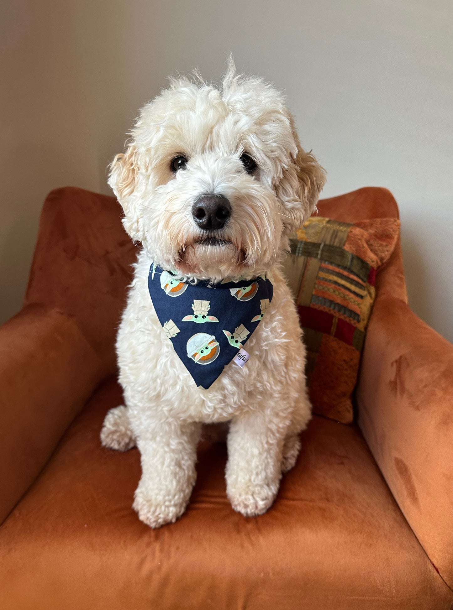 A fluffy white dog wearing a handcrafted cotton pet bandana with a Star Wars Baby Yoda design from Crafts by Kate sits on an orange armchair. There is a colorful patterned cushion behind the dog, adding a cozy touch to the setting. The dog looks directly at the camera, creating a charming and inviting scene.