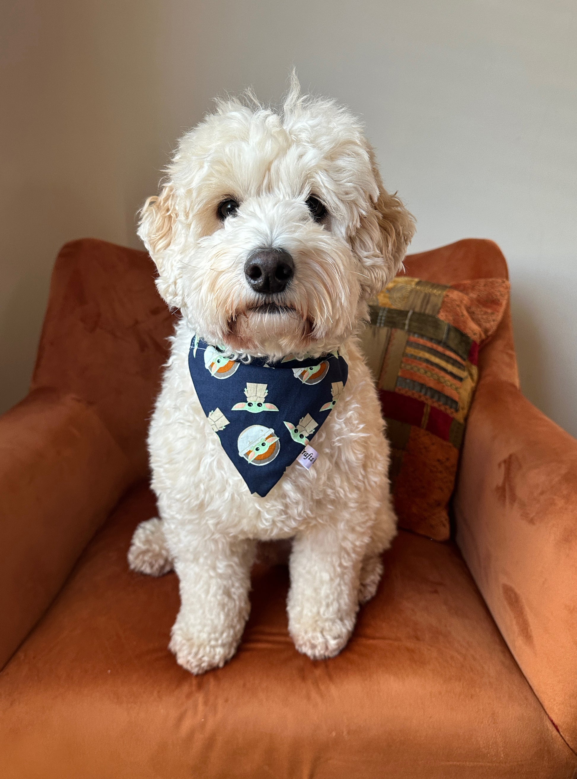 A fluffy white dog wearing a handcrafted cotton pet bandana with a Star Wars Baby Yoda design from Crafts by Kate sits on an orange armchair. There is a colorful patterned cushion behind the dog, adding a cozy touch to the setting. The dog looks directly at the camera, creating a charming and inviting scene.