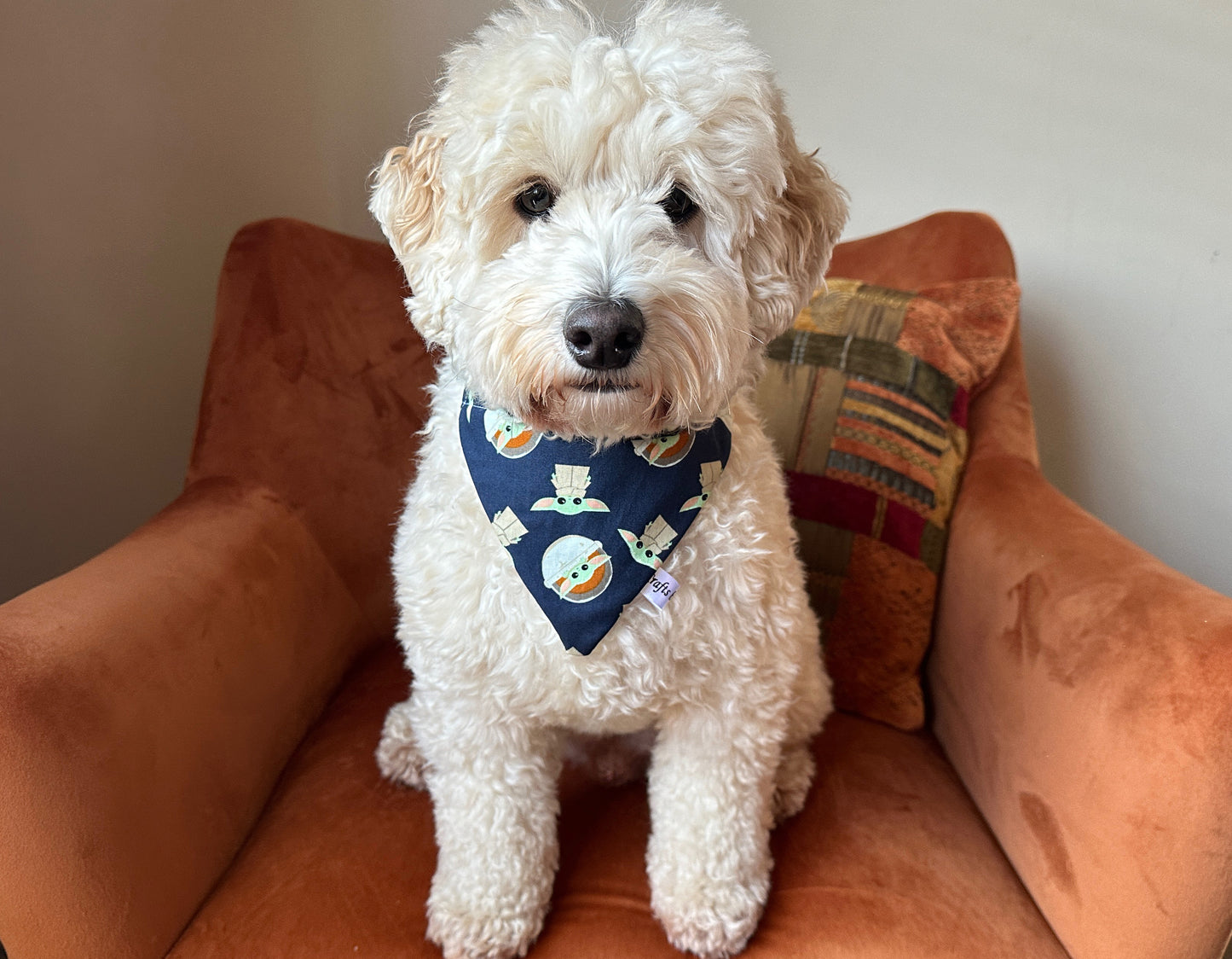 A fluffy white dog is sitting on an orange armchair, wearing a Cotton Pet Bandana with collar attachment - Star Wars Baby Yoda from Crafts by Kate. The dog looks directly at the camera, a decorative pillow behind it completing the cozy scene.