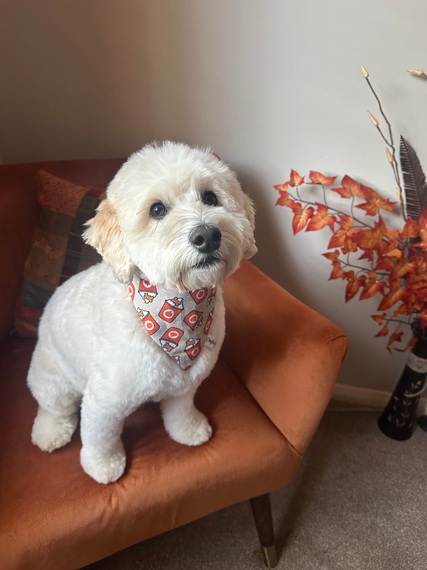 Cotton Pet Scrunchie Bandana - Pumpkin Spice Pupcup