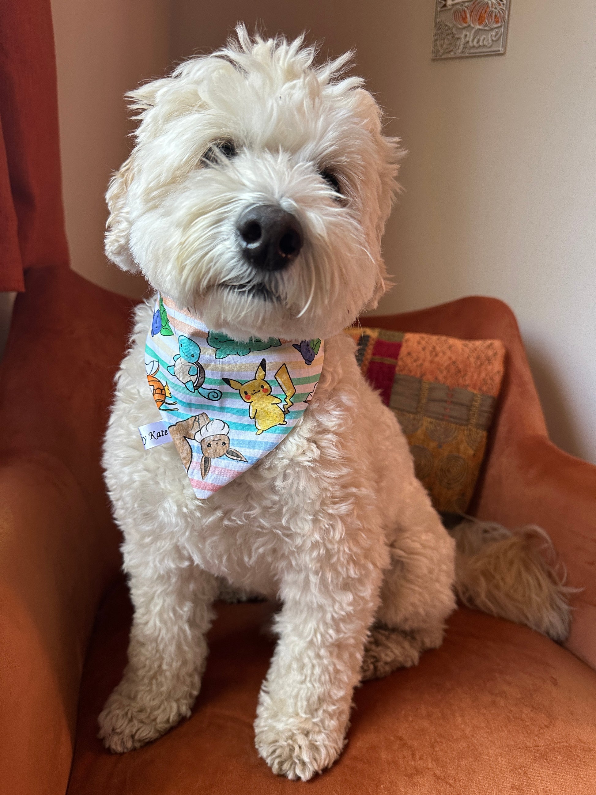 A fluffy white dog sits on an orange chair, wearing a colorful Cotton Pet Scrunchie Bandana - Pokemon by Crafts by Kate. The pup looks content, with a patterned pillow and a small wall sign visible in the background.