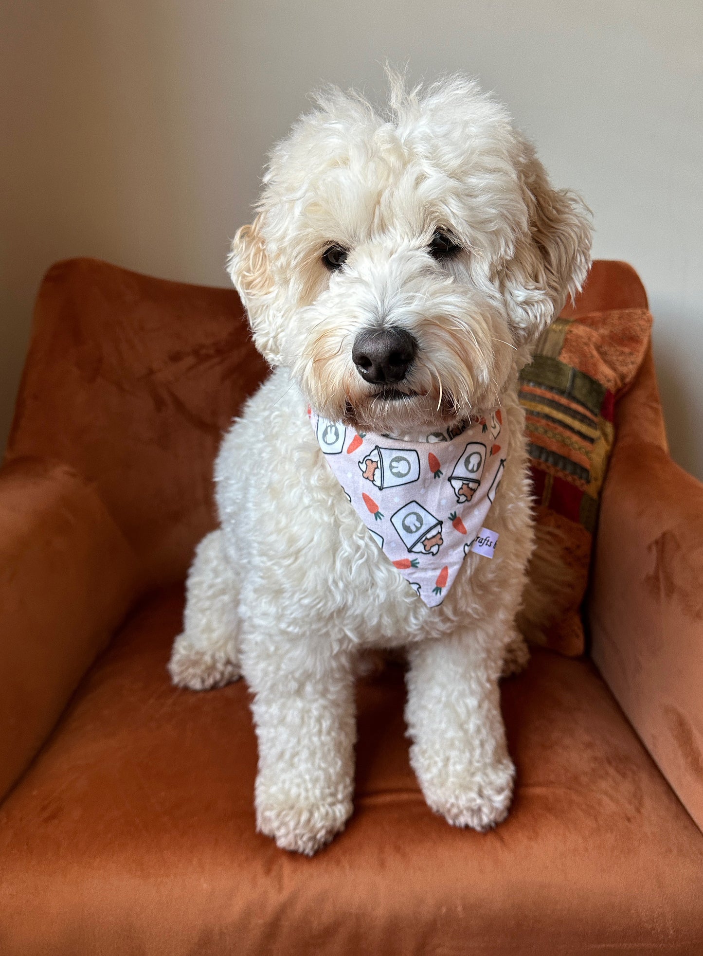 Cotton Pet Bandana with collar attachment - Easter Pupcup