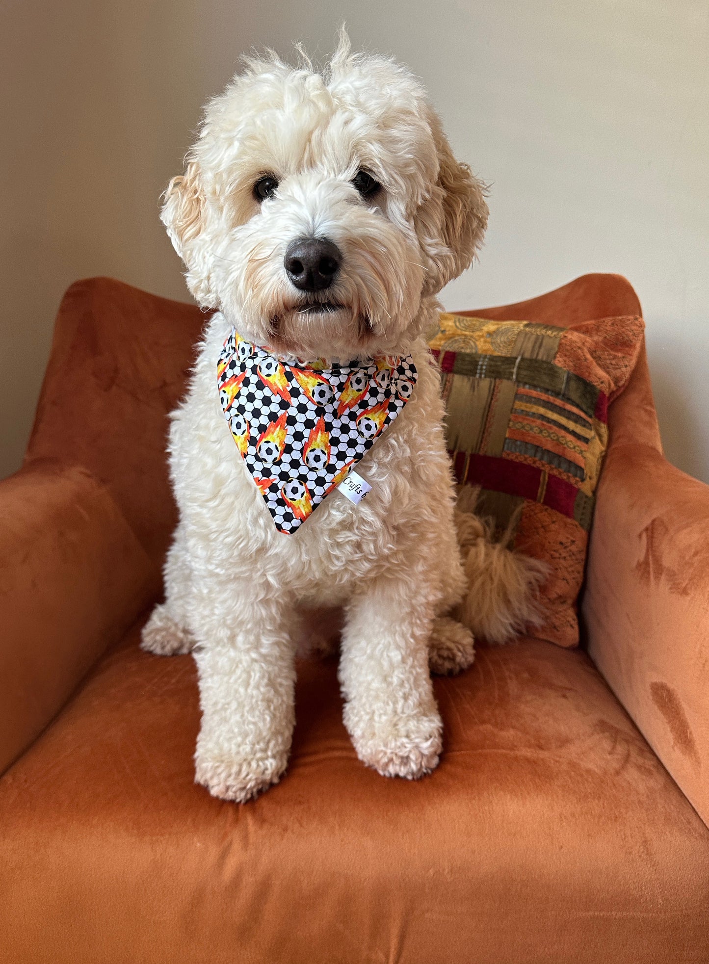 A fluffy white dog sits on an orange chair, wearing a "Football Fan" Cotton Pet Bandana with collar attachment by Crafts by Kate, adorned with a soccer ball pattern. The dog looks directly at the camera with a calm expression. There's a striped pillow behind the dog on the chair.