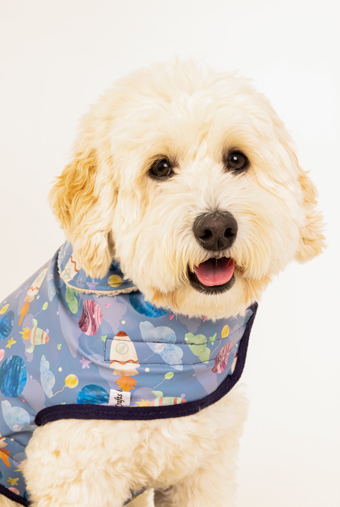 A fluffy, light-colored dog wears the Crafts by Kate Space Adventure Pet Raincoat, a blue waterproof coat with colorful rocket and planet designs, while sitting against a plain white background.