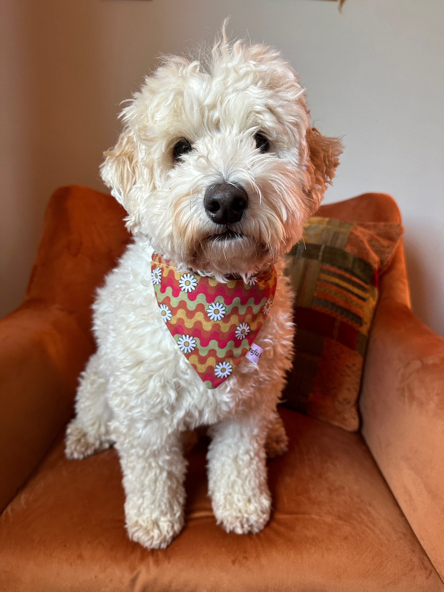 Cotton Pet Bandana with collar attachment - Hippie Daisies