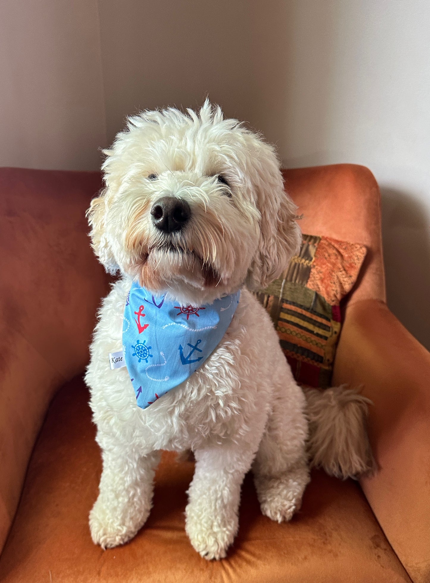 A fluffy white dog sits on an orange armchair, looking at the camera. The dog is wearing a Cotton Pet Scrunchie Bandana - Sailor Print from Crafts by Kate, adorned with red and blue nautical-themed symbols. A multi-colored cushion is visible on the armchair behind the dog, perfectly complementing the sailor print fabric of its handcrafted cotton pet scrunchie.