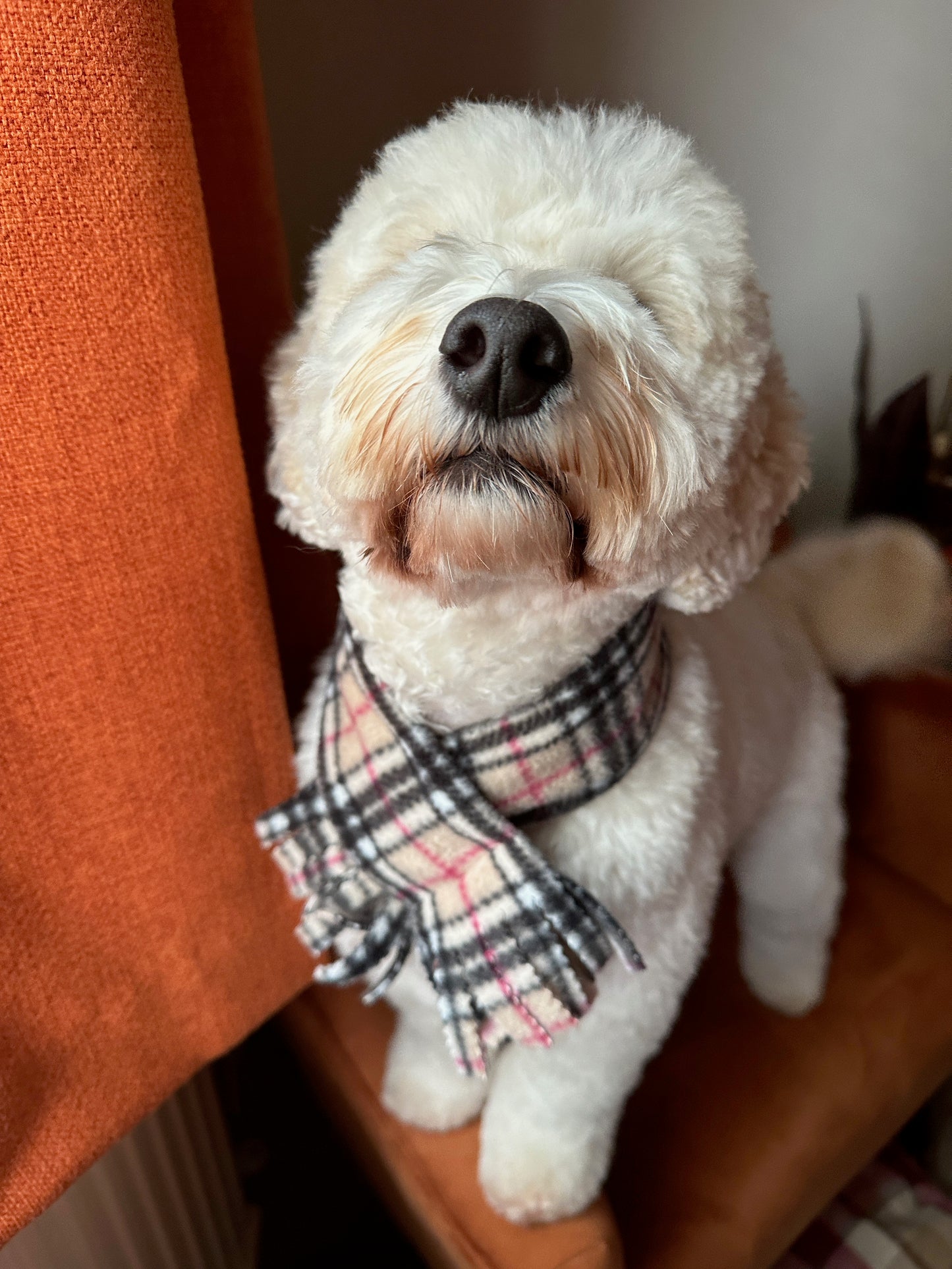 Polar Cotton Fleece Pet Scarf - Brown Tartan