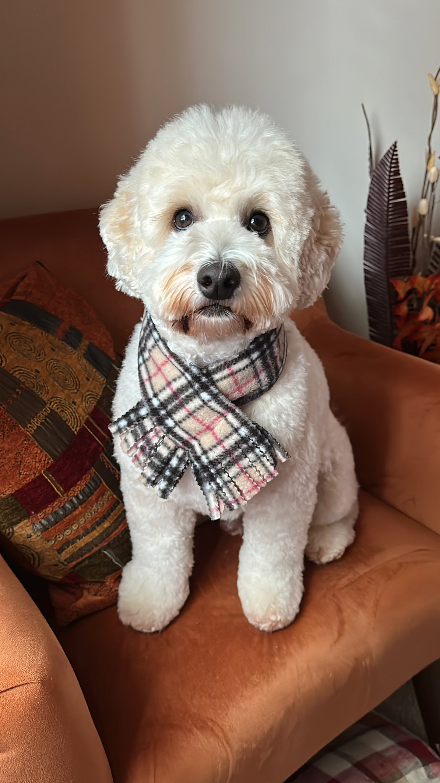 Polar Cotton Fleece Pet Scarf - Brown Tartan