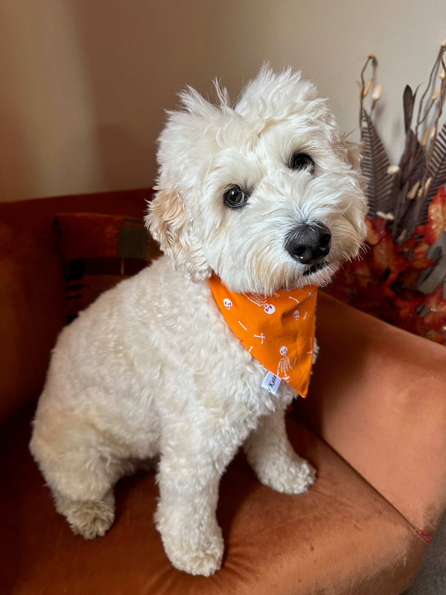 A fluffy white dog wearing a handcrafted "Dancing Skeletons" cotton pet scrunchie bandana from Crafts by Kate sits on a brown chair. The dog has a curious expression and tilts its head slightly, while decorative plants in the background add charm to the scene.