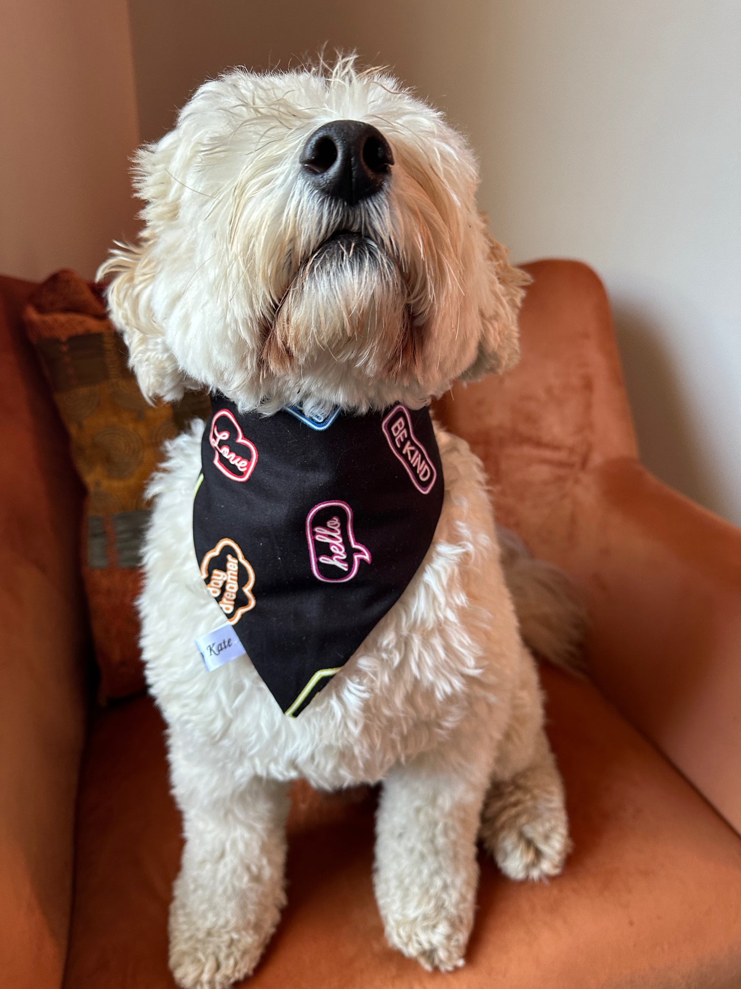 Cotton Pet Scrunchie Bandana - Glow in the Dark Signs