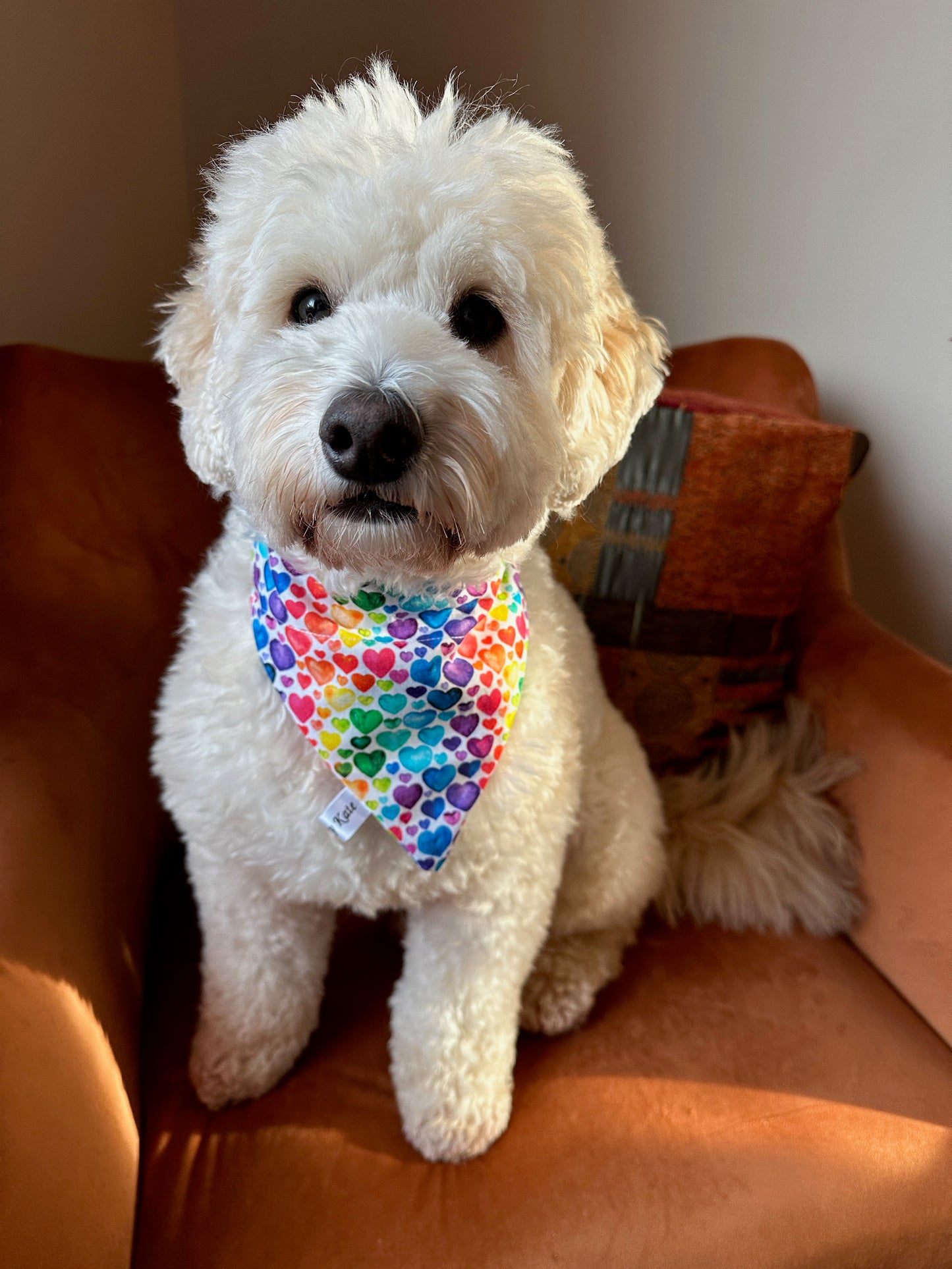 Cotton Pet Bandana with collar attachment - Rainbow Hearts