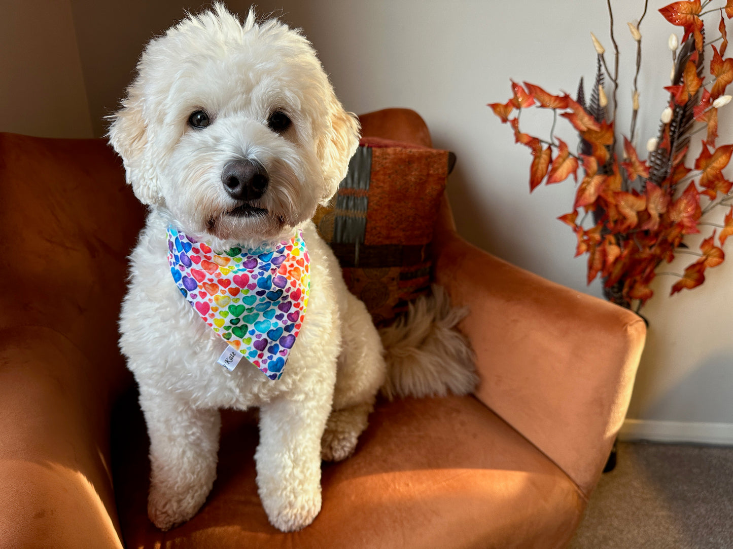 Cotton Pet Bandana with collar attachment - Rainbow Hearts