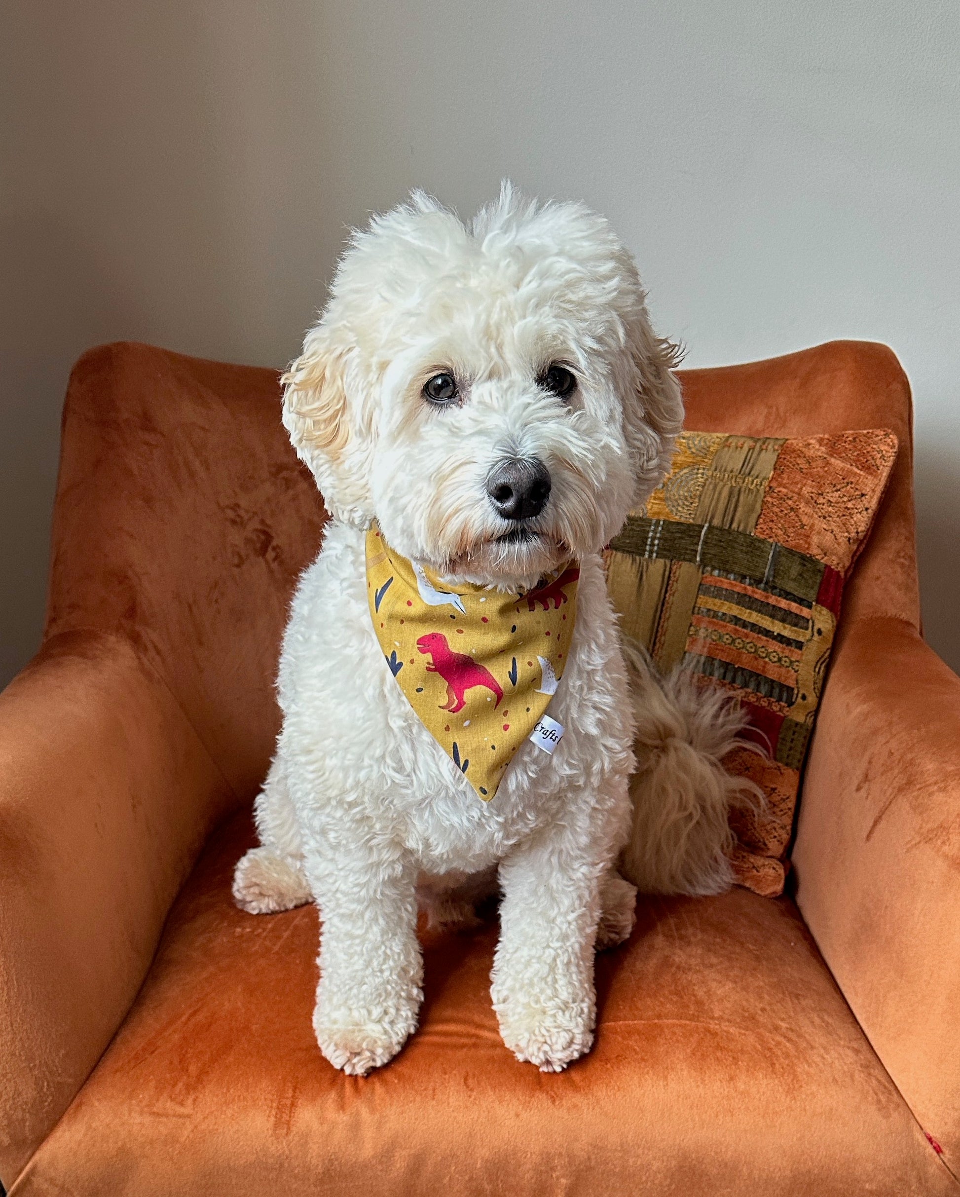 A fluffy white dog featuring a yellow Cotton Pet Scrunchie Bandana from the Crafts by Kate "Dinosaur Lovers" collection sits on an orange velvet chair. The chair also has an orange and patterned cushion. The background wall is plain and light-colored.