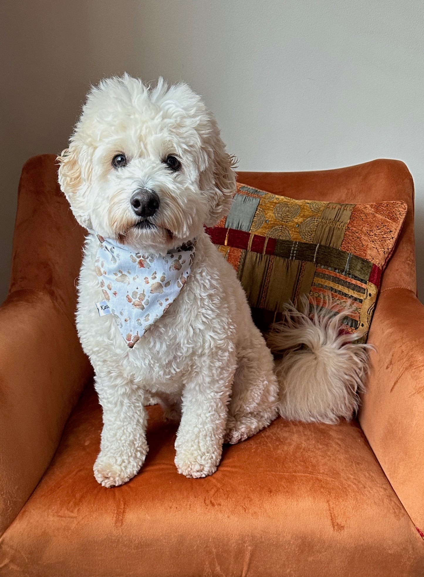 Cotton Pet Scrunchie Bandana - Caveman Paw Print