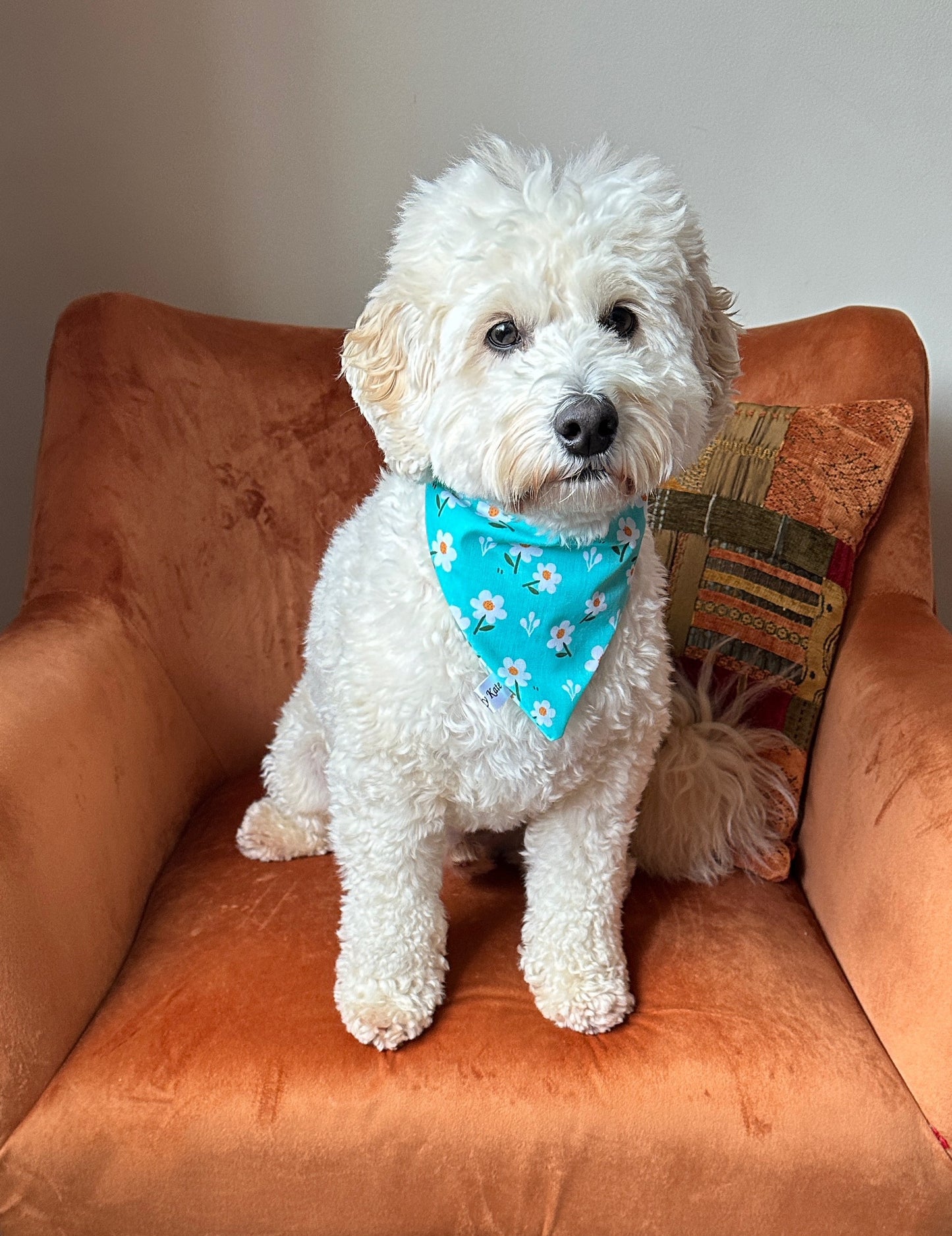 Cotton Pet Scrunchie Bandana - Daisy Obsessed