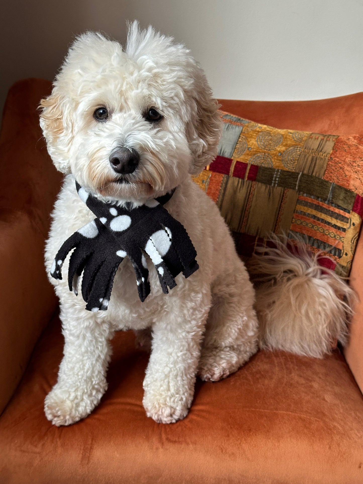 Polar Cotton Fleece Pet Scarf - Black & White Paws