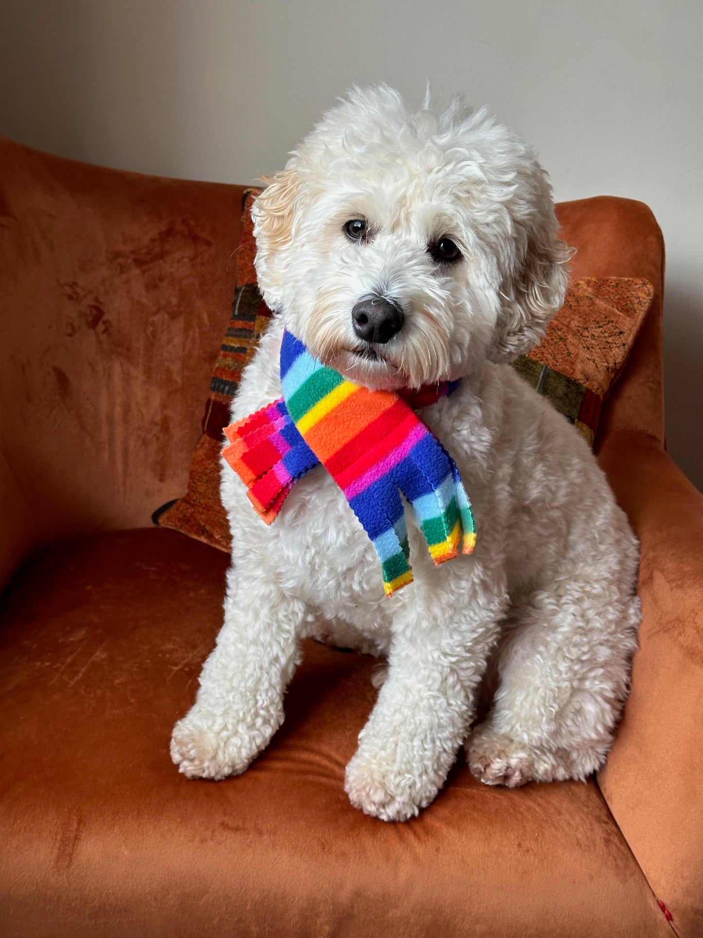 Polar Cotton Fleece Pet Scarf - Rainbow Stripes