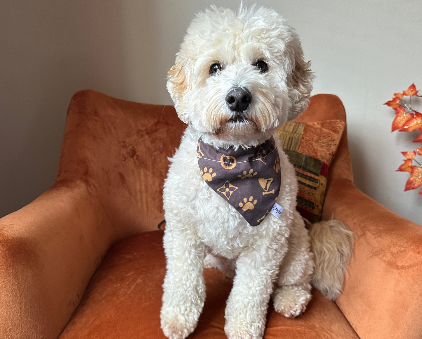 Cotton Pet Bandana with collar attachment - Louis "Paw"ton