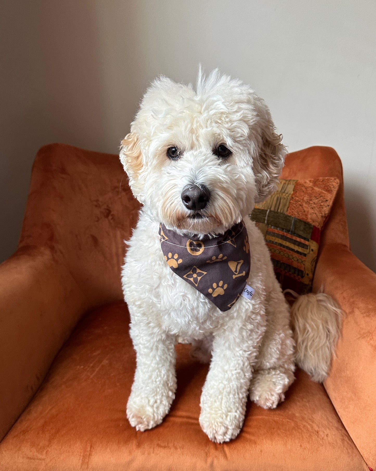 Cotton Pet Bandana with collar attachment - Louis "Paw"ton