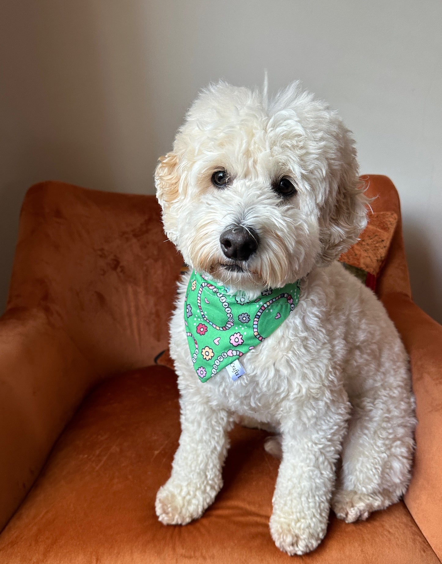 Cotton Pet Bandana with collar attachment - Swiftie Friendship Bracelet