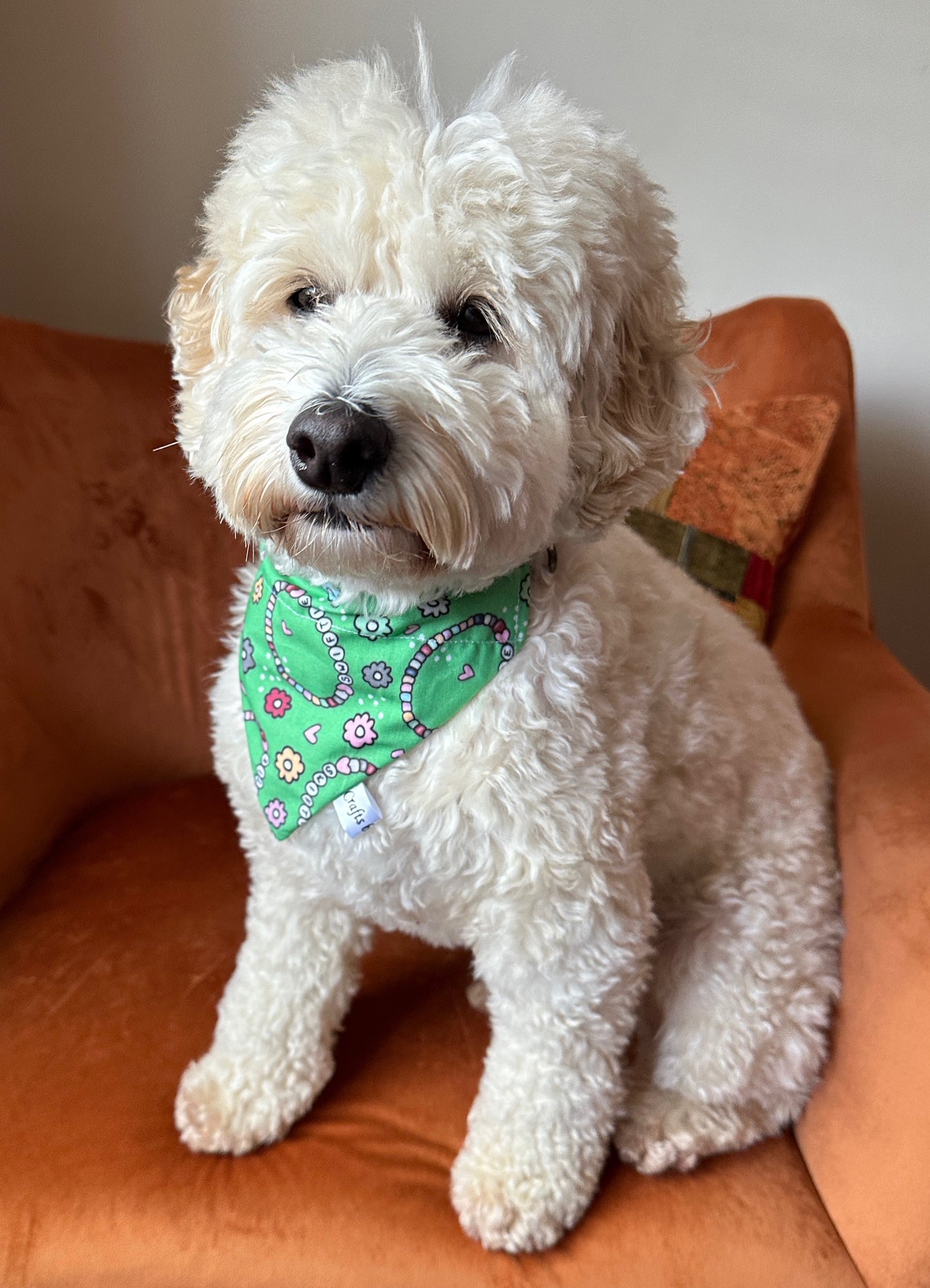 Cotton Pet Bandana with collar attachment - Swiftie Friendship Bracelet