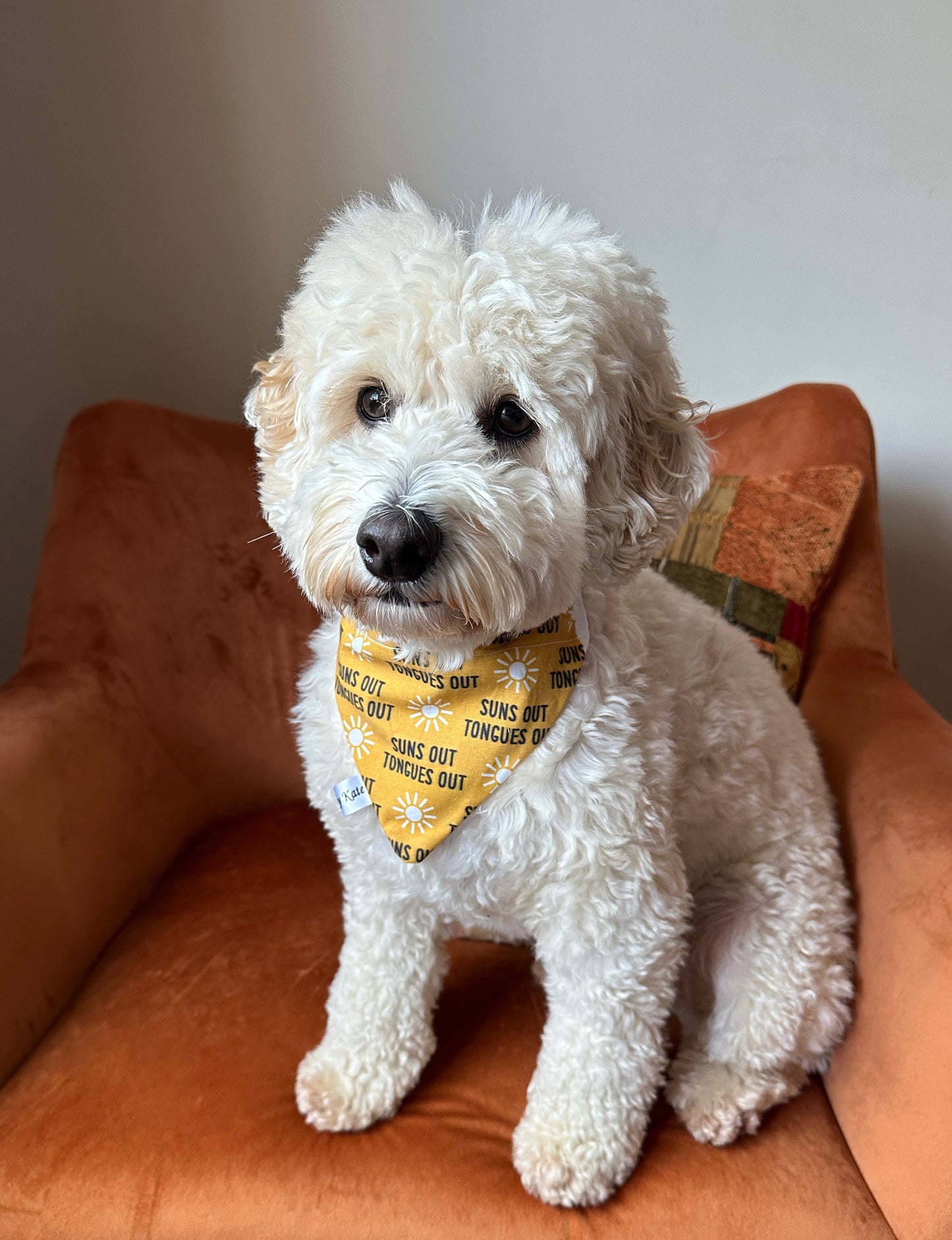 Cotton Pet Bandana with collar attachment - Suns Out Tongues Out