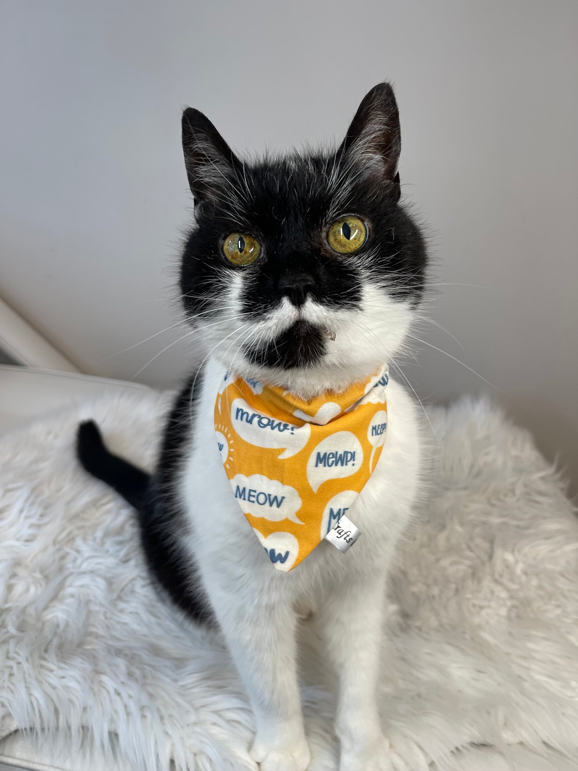 A black and white cat with bright yellow eyes sits on a white fluffy surface wearing a Crafts by Kate Cotton Pet Bandana with collar attachment. The vibrant orange bandana has playful white speech bubbles, each saying "MEOW!" in blue letters, adding charm to the scene.