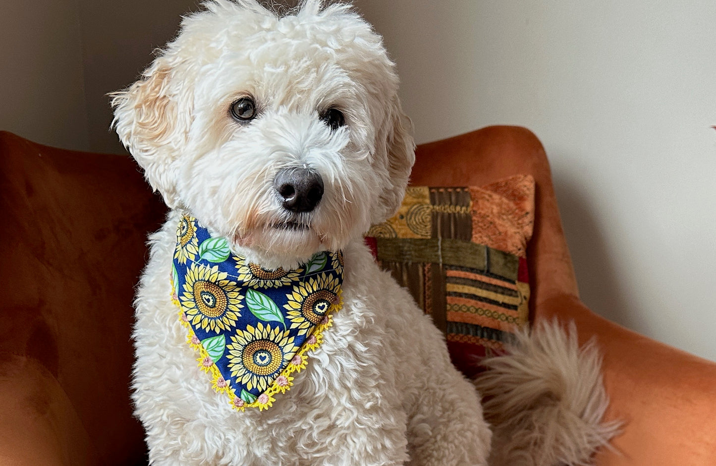 Cotton Pet Bandana with collar attachment - Sunflowers with Flower Ribbon Embroidery