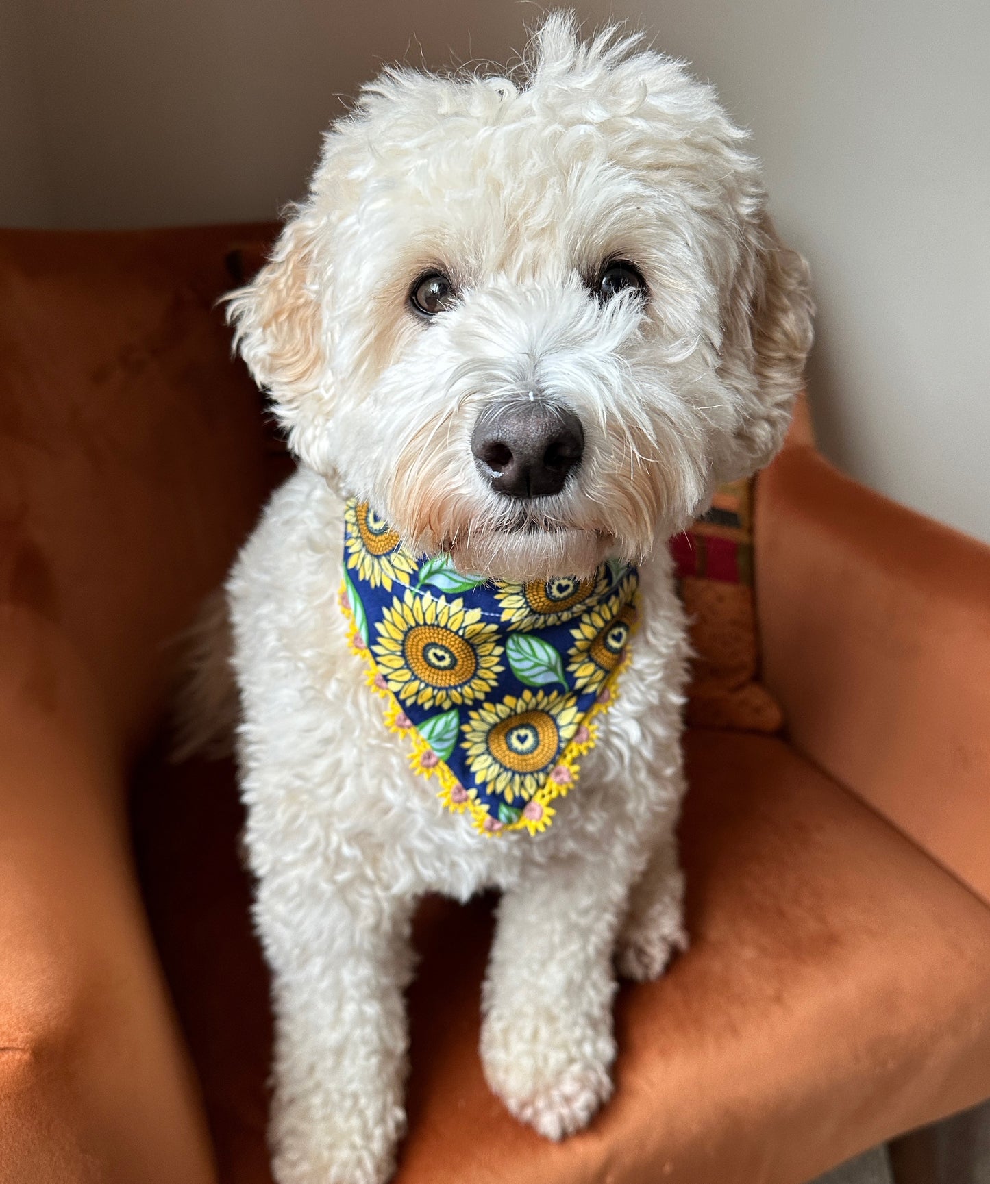 Cotton Pet Bandana with collar attachment - Sunflowers with Flower Ribbon Embroidery