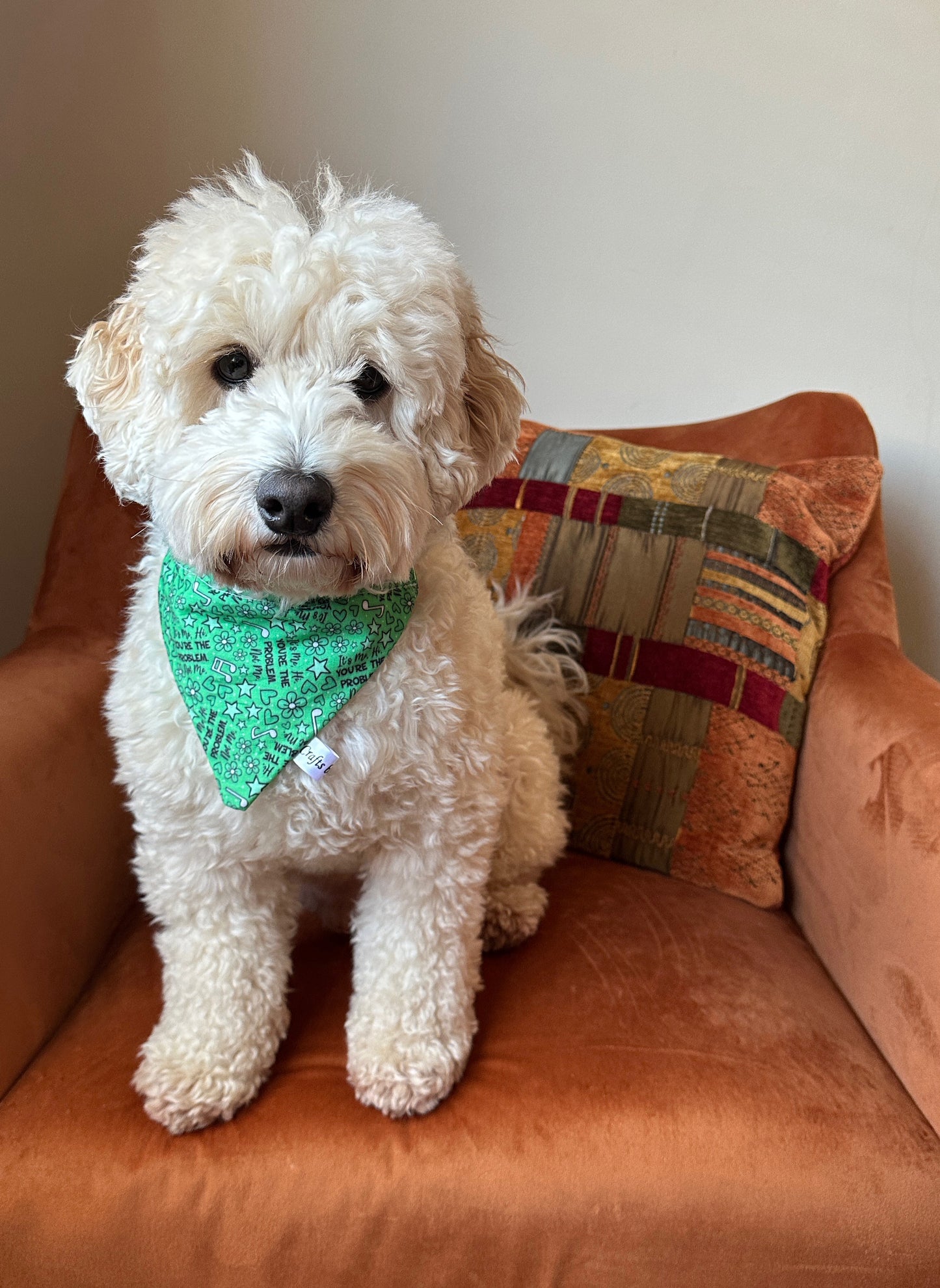 Cotton Pet Bandana with collar attachment - You're the Problem