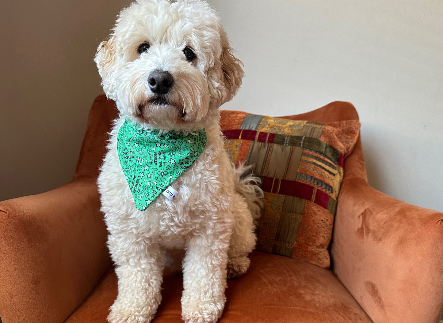 Cotton Pet Bandana with collar attachment - You're the Problem